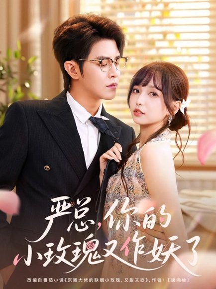 严总你的小玫瑰又作妖了（77集）王朝阳&杨琳 高清完整版