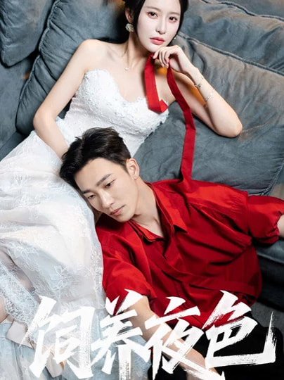 饲养夜色（86集）姚冠宇＆陈思澈 高清完整版