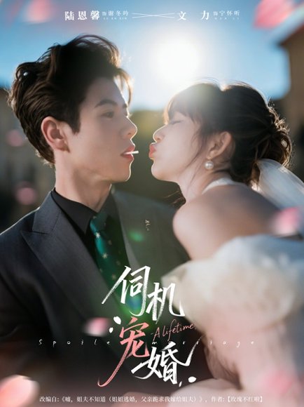 伺机宠婚（80集）文力＆陆恩馨 高清完整版
